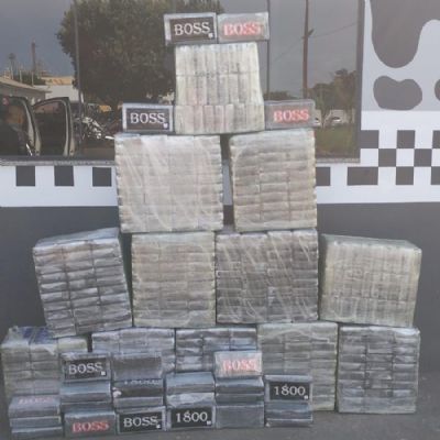 30.01-campo-novo-foragido (1)