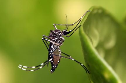 5fbfa6f299fcebdd735bc29b5ae74f4d