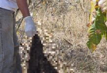 Ossada humana é encontrada em área rural de Várzea Grande