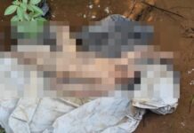 Corpo com ‘Emanoel’ tatuado no peito é achado em córrego de VG