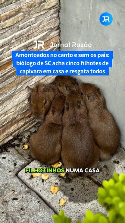 images-1.jpg